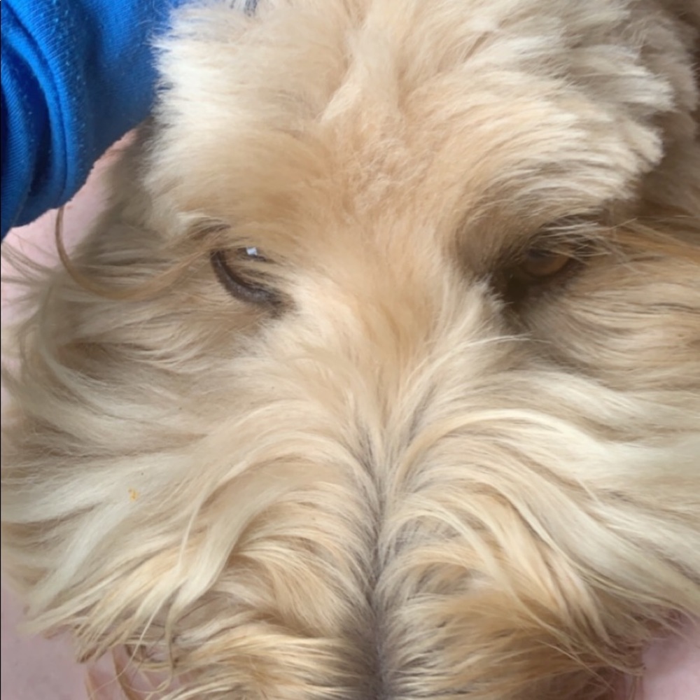 Meet your Posher, Kaciebeth